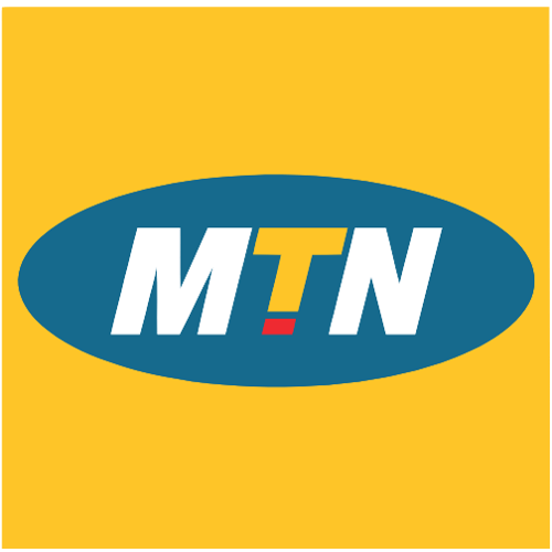 Coordinator – NES Regional East Network at MTN Nigeria
