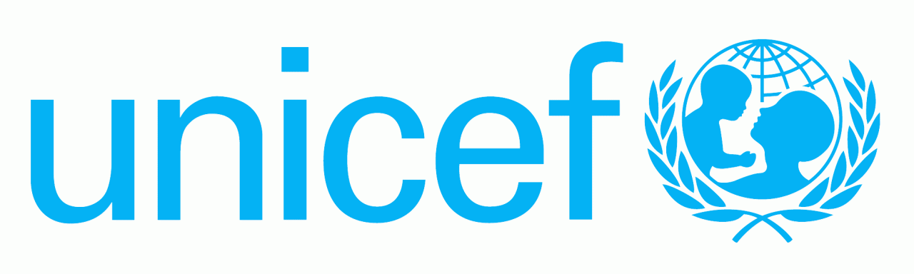 WASH Manager, P4 at UNICEF